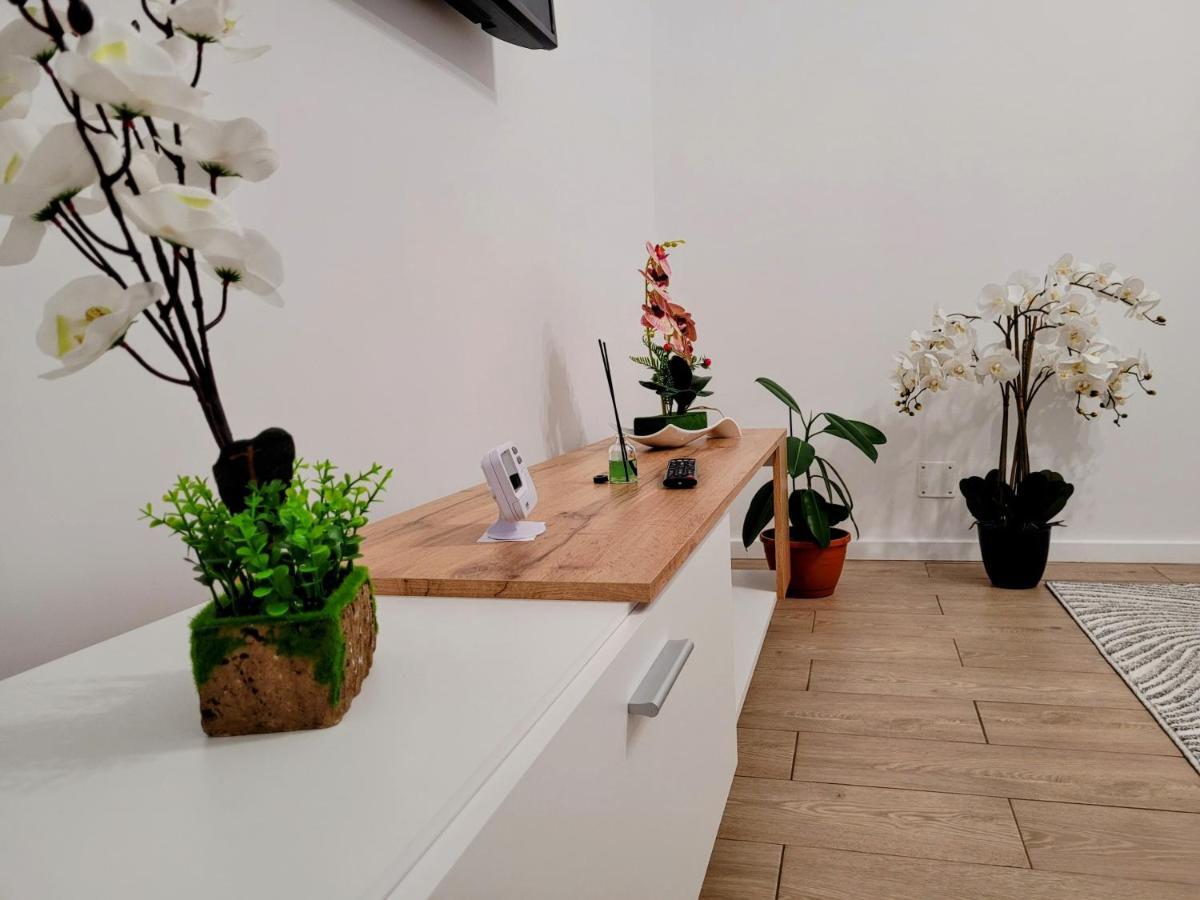 ブラショフCasa Feliアパートメント エクステリア 写真